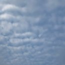 붉은노을 | 비 맞고, 와인 마시고, 윤하 보고, 부안 붉은노을축제 후기