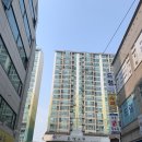 모도리 케이크 이미지