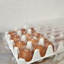 홈플러스주식회사 | 👀✨[자연방사 1번 난각 유정란] 농업회사법인 양계장청년 주식회사