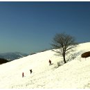 양은목장 이미지