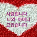SNS편집 이미지