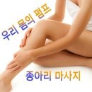 지금 바로 종아리를 만져보자 이미지