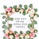 어거스타