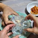 풍어 | 경주 아구수육 맛집 풍어복어아구 토요일 5시 예약 후기