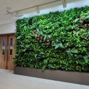 서초4동 주민센터 이미지