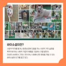 2024 겨울 젤네일 아이스젤 온오프 반사젤 글리터 네일
