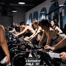 크로스핏 에이블 이미지