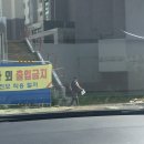 출근길에 안전모 미착용 사진 찍었는데요 ~ 이미지