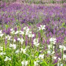 이렇게좋은날 이미지