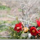 배낭바위민박 이미지