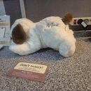 모텔홀인원 이미지