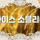 황미미인