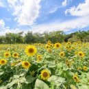 햇살공원 이미지