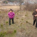 상혁농장 이미지