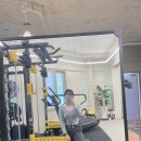 PHYSICAL GYM 이미지