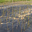 동산목장 이미지