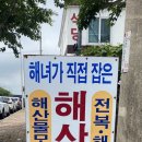 막둥이해녀복순이네