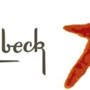 세린테크 이미지