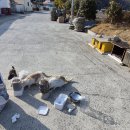 호두마을회관 이미지