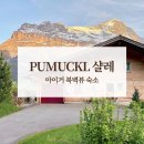 그린델발트 PUMUCKL 샬레 후기 (아이거 북벽뷰 숙소 추천)