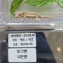 원주브리딩 이미지