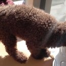 미성동-20 이미지