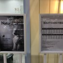 몰리스 놀이터/호텔 이미지