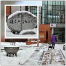 평화꿈틀 작은도서관 이미지