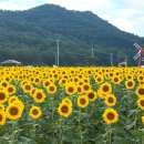 석모로 펜션 | [2박3일 강화도 여행] 8월 국내 가족 여행, 강화 가볼만한 곳 , 내돈내산 여행기 | 맛집부터 여행스토리...