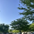 누리별 캠핑장 이미지