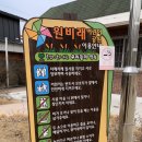 원비래어린이공원 이미지