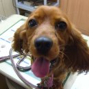 한양아파트 내 이미지