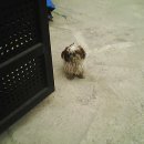 원미구청 이미지