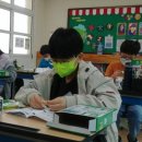 속리초등학교 이미지