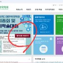 마포초록약국