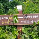 옥포중앙1길 이미지
