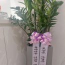 아하데이스파(용호점) 이미지