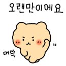 달빛스쿠터청주점 이미지