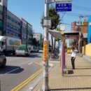 버드펠리스