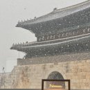 팔레센트 네이버블로그