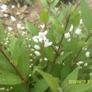 남지초등학교 이미지