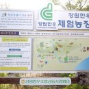 도하목장 이미지