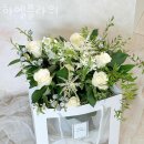 하엘 이미지