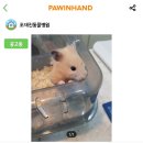 조재진동물병원 이미지