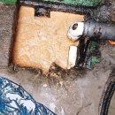 가정보금자리(b89119) | 답답했던 하수구, 속 시원하게 뚫어준 이야기 feat. 강남 역삼동 변기막힘 보금자리케어