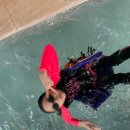 국가대표 도담태권도장 송빛 이미지