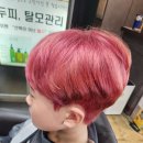 헤어니스트