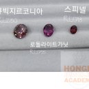 세종홍익아카데미 이미지