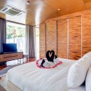 하늘여행사 이미지