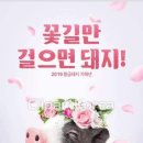 황금돼지 - 화성시 수노을중앙로 136 | 황금돼지